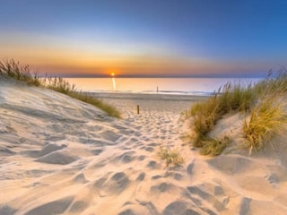 Ferienhaus Petten Außenaufnahme 12