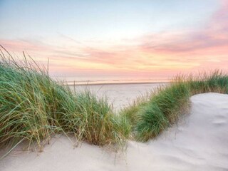 Holiday house Petten Outdoor Recording 11