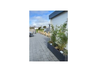 Ferienhaus Petten Außenaufnahme 22