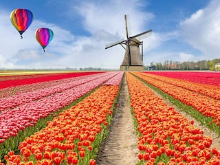 Ferienhaus Petten Außenaufnahme 12