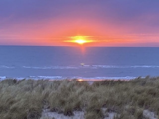 Ferienhaus Petten Außenaufnahme 2