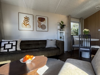 Ferienhaus Petten Außenaufnahme 7