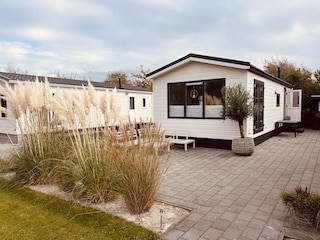 Ferienhaus Petten Außenaufnahme 1
