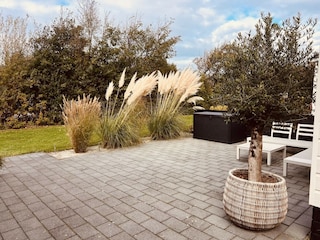 Ferienhaus Petten Außenaufnahme 3