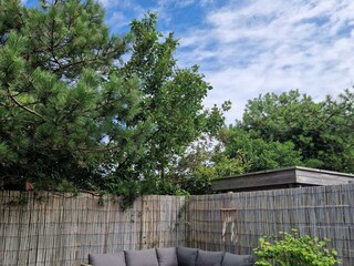 Ferienhaus Petten Außenaufnahme 19