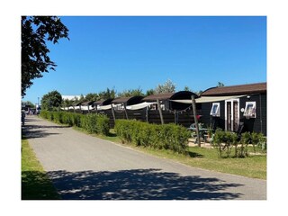 Ferienhaus Petten Außenaufnahme 1