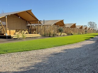 Ferienhaus Petten Außenaufnahme 2