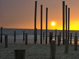 Holiday house Petten Outdoor Recording 17