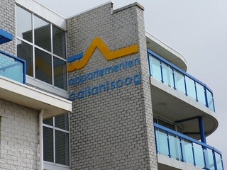 Ferienhaus Callantsoog Außenaufnahme 15