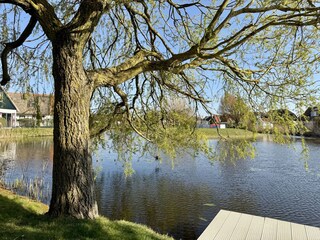 Ferienhaus Callantsoog Außenaufnahme 31