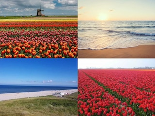 Ferienhaus Callantsoog Außenaufnahme 50