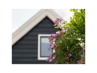 Ferienhaus Schagen Außenaufnahme 37