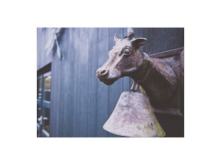 Ferienhaus Warmenhuizen Außenaufnahme 20