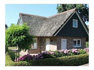 Ferienhaus Sint Maartenszee Außenaufnahme 25