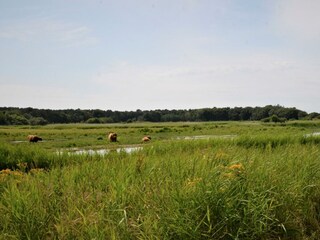 Holiday house Den Helder Outdoor Recording 4
