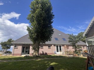 Ferienhaus 't Zand Außenaufnahme 23