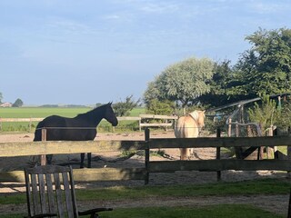 Holiday house 't Zand Outdoor Recording 24