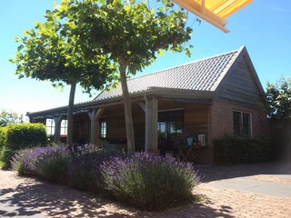 Ferienhaus Warmenhuizen Außenaufnahme 29