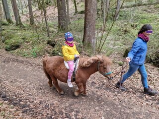 Ponyführen