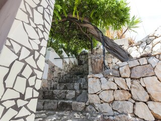 Villa Ador  22