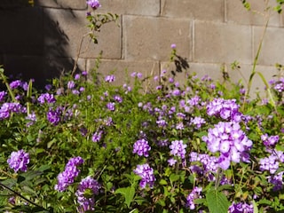 Ferienhaus Roses  38