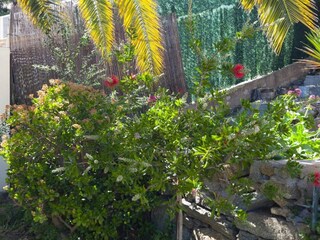 Ferienhaus Roses Außenaufnahme 5