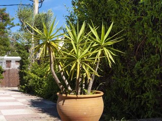 Ferienhaus Roses Außenaufnahme 11