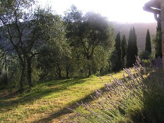 Parco vacanze Sovicille Registrazione all'aperto 13