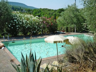 Parc de vacances Sovicille Enregistrement extérieur 6