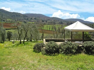Holiday park Sovicille Outdoor Recording 10