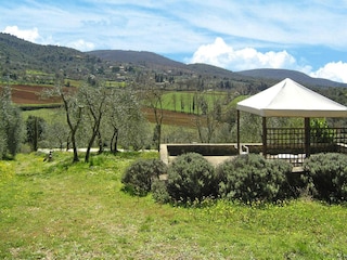 Vakantiepark Sovicille Buitenaudio-opname 10