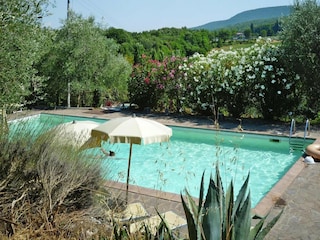 Vakantiepark Sovicille Buitenaudio-opname 1
