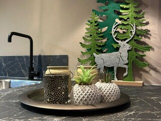 Holiday house Coevorden  37