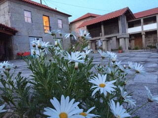 Parque de vacaciones Paredes  65