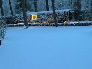 Der Garten im Advent