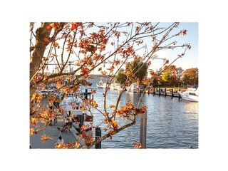 Niendorfer Hafen im Herbst