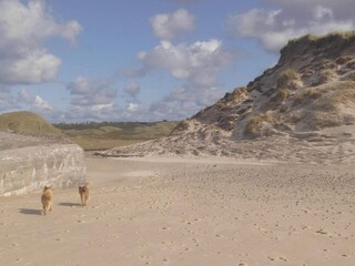 Casa per le vacanze Nørlev Strand  19