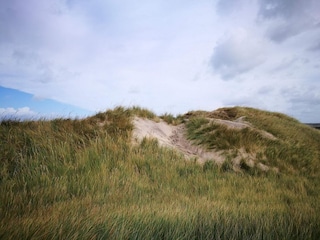 Vakantiehuis Nørlev Strand  19