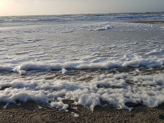 Ferienhaus Nørlev Strand  22