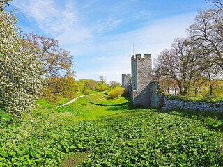 Holiday house Visby  9