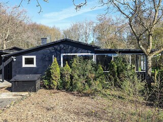 Holiday house Trend  22