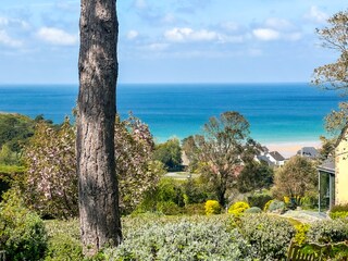 View from conservatory