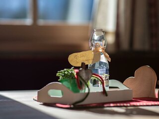 Chalet-Hoamatgfühl-von-myNests-Haus-im-Ennstal-Sch