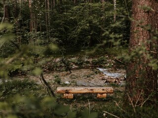 Chalet-Hoamatgfühl-von-myNests-Haus-im-Ennstal-Sch