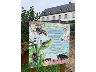 Waldbienen Lehrpfad Detzem