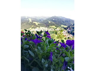 Aussicht Grießenkar Wagrain