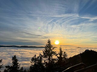 Ferienwohnung Arrach Außenaufnahme 14