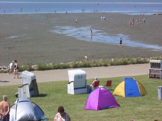 Weltnaturerbe Wattenmeer