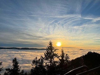 Ferienwohnung Arrach Außenaufnahme 6