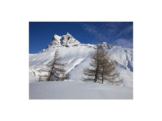 apartments_bischof10_schroecken